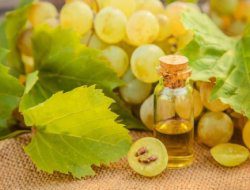 10 Manfaat Lengkap Minyak Biji Anggur (Grapeseed Oil) Untuk Kecantikan Kulit