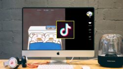 Cara Download Video TikTok di Laptop