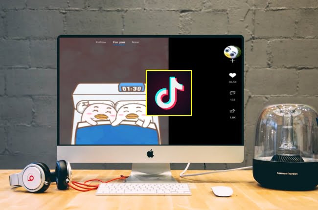 Cara Download Video TikTok di Laptop