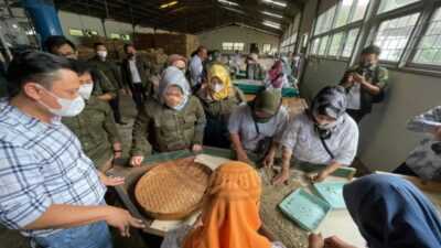 Optimalkan Pengelolaan Kopi Liberika di Kobar, Bupati ke Jateng