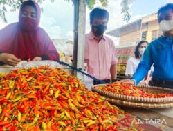 Harga bawang-cabai di Palangka Raya Alami Penurunan Jelang Ramadhan