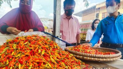 Harga bawang-cabai di Palangka Raya Alami Penurunan Jelang Ramadhan