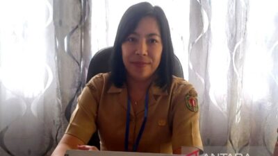 Ornamen Dayak Memperindah Makam Pahlawan Minun Dehen