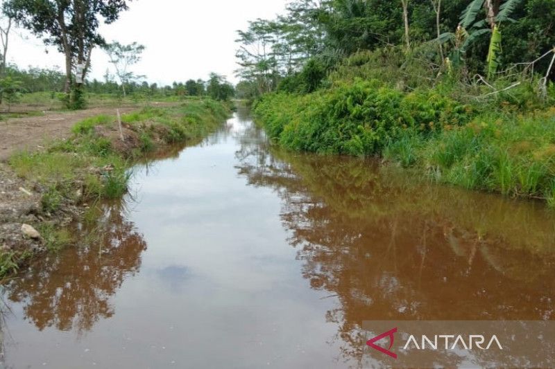 Saluran Sekunder Food Estate Desa Pantik Perlu Direhabilitasi