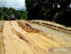 Ruas Jalan Lampeong - Batas Kaltim Rusak