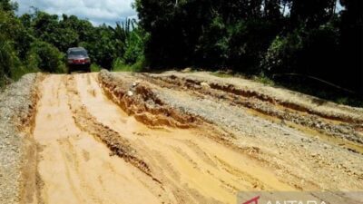 Ruas Jalan Lampeong – Batas Kaltim Rusak