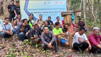 KPHP Barito Hulu Dampingi Budi Daya Madu Kelulut Desa Luwe Hilir