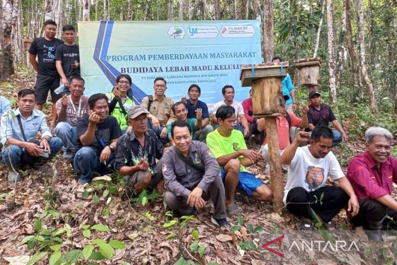 KPHP Barito Hulu Dampingi Budi Daya Madu Kelulut Desa Luwe Hilir
