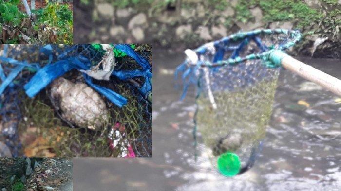 Benda Berbentuk Granat Nanas Ditemukan Warga Mataram Di Kali Brenyok