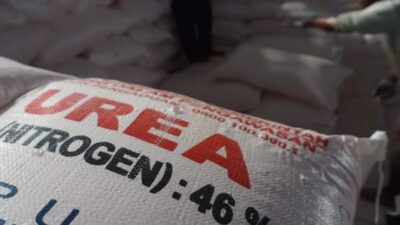 Pemerintah Kurangi Jatah Subsidi Pupuk