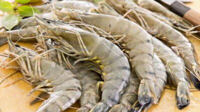RI Kejar Target Produksi Udang 2 Juta Ton pada 2024