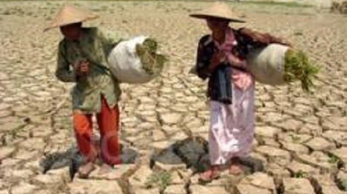 BPBD Trenggalek Antisipasi Kekeringan Di Sejumlah Daerah Saat Puncak Musim Kemarau Agustus 2022