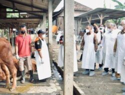 Satgas Pangan Polri Selidiki Asal-usul Penyebaran Wabah PMK Hewan Ternak Satgas Pangan Polri Selidiki Asal-usul Penyebaran Wabah PMK Hewan Ternak