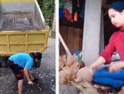 Viral Wanita Muda Jadi Kuli Pasir Di Pinrang, Dibayar Rp 15.000 Viral Wanita Muda Jadi Kuli Pasir Di Pinrang, Dibayar Rp 15.000