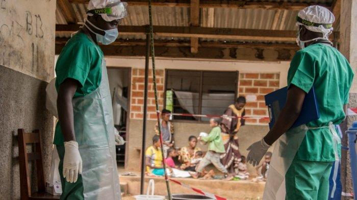 WHO: Monkeypox Timbulkan 'Risiko Sedang' Bagi Kesehatan Global