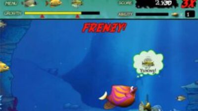 game ikan makan ikan