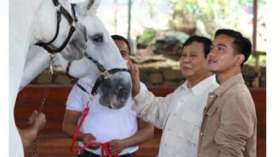 Soal Pencalonan Diri Jadi Gubernur, Jubir Prabowo Ungkap Dukungan Prabowo Kepada Gibran