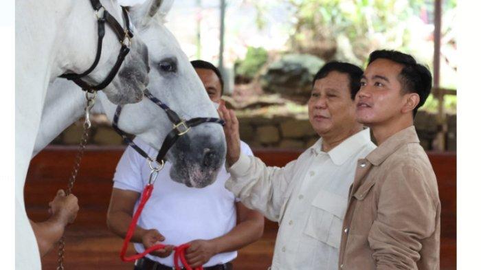 Soal Pencalonan Diri Jadi Gubernur, Jubir Prabowo Ungkap Dukungan Prabowo Kepada Gibran