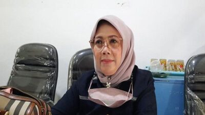Legislator ajak perempuan berikan ASI eksklusif untuk cegah stunting