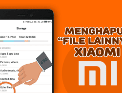 Cara Menghapus Other File Xiaomi Tanpa Root