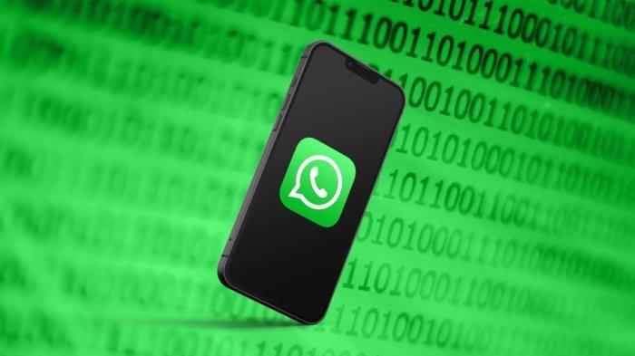 10 Fakta GB WhatsApp: Anti Tarik Pesan, Bisa Kunci Obrolan Dan Pakai 2 Akun