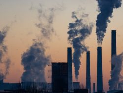 Polusi Udara dan Kesehatan: 6 Dampak Buruk pada Tubuh Manusia