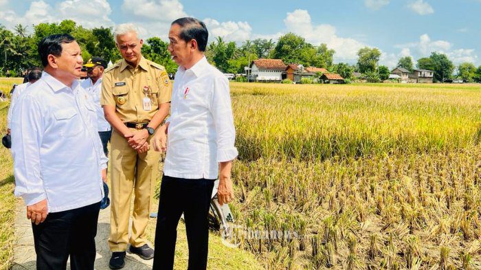 Menakar Peluang Duet Prabowo Dan Ganjar, Pengamat: Jika Terwujud Bisa Menang Satu Putaran Lawan Anies