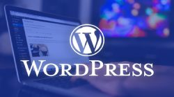 Bagaimana Meningkatkan Jumlah Komentar di Blog WordPress Anda