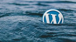 Cara Menambahkan Widget ke Halaman WordPress