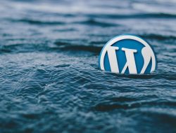 Cara Menambahkan Widget ke Halaman WordPress