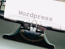 Keuntungan Membuat Blog di WordPress untuk Pemula