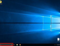 Cara Mengatasi Search Windows 10 Tidak Berfungsi