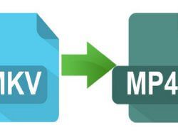 Cara Mudah Mengubah Video MKV ke MP4 dengan Langkah-Langkah Praktis Cara Mudah Mengubah Video MKV ke MP4 dengan Langkah-Langkah Praktis