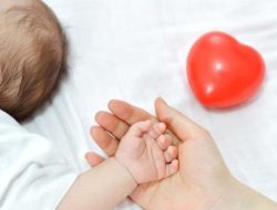 Ada 12 Ibu Kasus Bayi Dengan Penyakit Jantung Bawaan Di Indonesia