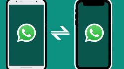 4 Cara Pindah WhatsApp Android ke iPhone dengan Mudah
