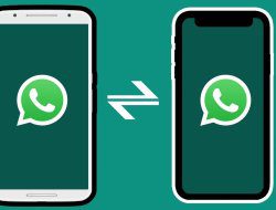 4 Cara Pindah WhatsApp Android ke iPhone dengan Mudah