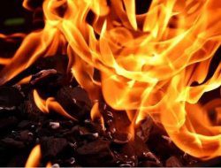 Kandang Ayam Boiler di Pangkalan Bun Terbakar, 3 Orang Meninggal Terbakar Kandang Ayam Boiler di Pangkalan Bun Terbakar, 3 Orang Meninggal Terbakar