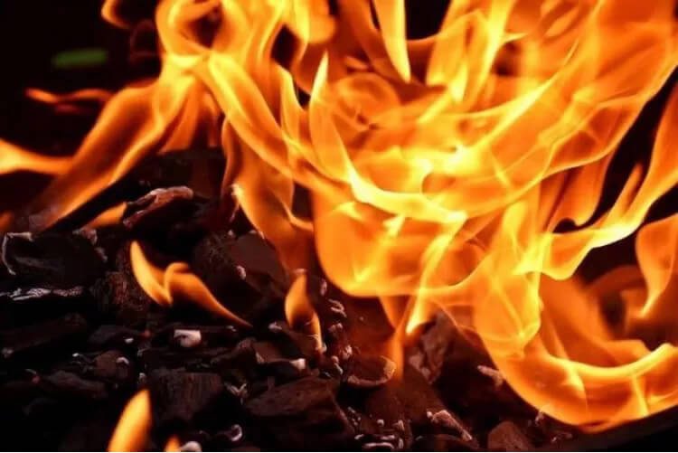 Kandang Ayam Boiler di Pangkalan Bun Terbakar, 3 Orang Meninggal Terbakar
