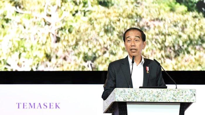 Jokowi Sebut Ruang Digital Banjir Konten Negatif Mulai Dari Hoaks Hingga Penipuan