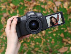 Review Canon EOS R8: Inovasi Kamera Mirrorless Terbaru Dari Canon Review Canon EOS R8: Inovasi Kamera Mirrorless Terbaru Dari Canon