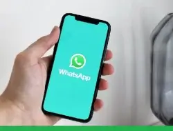 4 Cara Melihat Nomor yang Diblokir di WhatsApp dengan Mudah