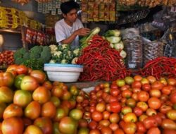 Krisis Sri Lanka – Indikator Ekonomi Apa Saja yang Menunjukkan Posisi Indonesia ‘Jauh Lebih Baik?’